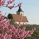 Apartmán Pfaelzer Wald