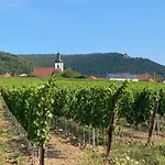 Appartement Pfaelzer Wald *