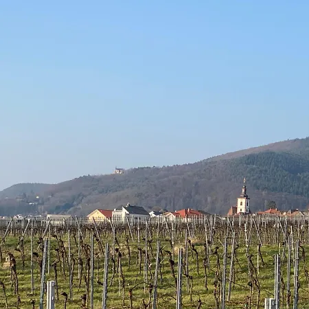 Pfaelzer Wald Appartement