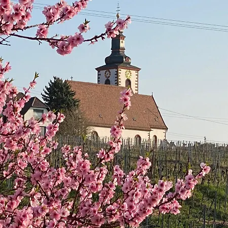 Apartamento Pfaelzer Wald