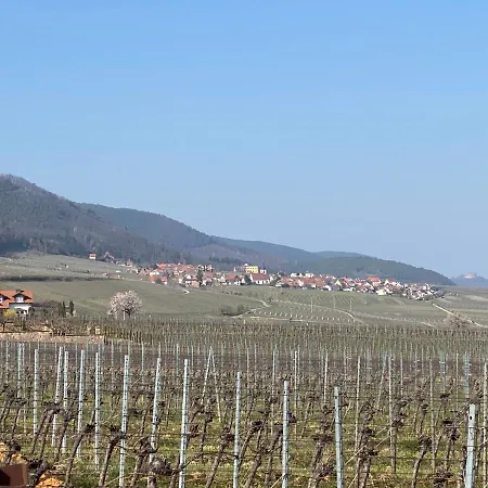 Pfaelzer Wald * Weyher