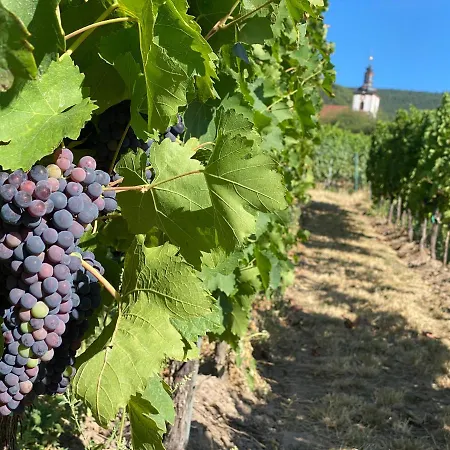 Appartement Pfaelzer Wald Weyher