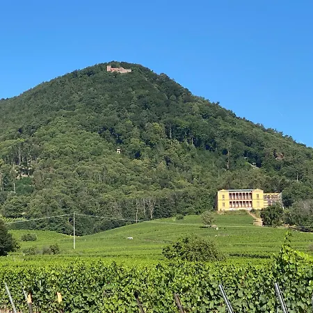 Lägenhet Pfaelzer Wald