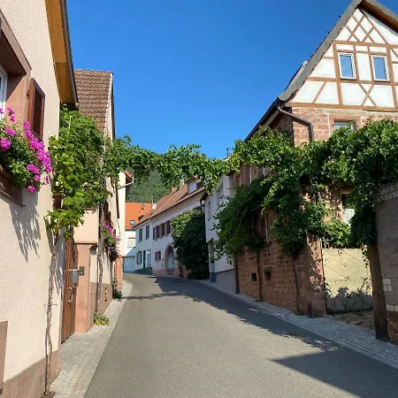 Pfälzer Wald *