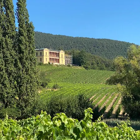 Pfaelzer Wald Weyher