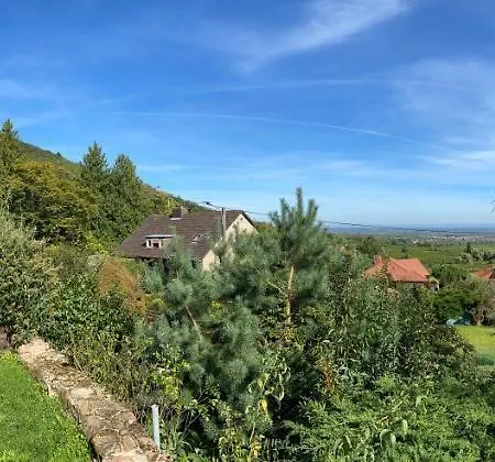 Pfaelzer Wald * Weyher