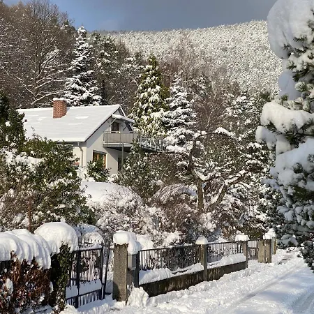 Apartamento Pfaelzer Wald Weyher