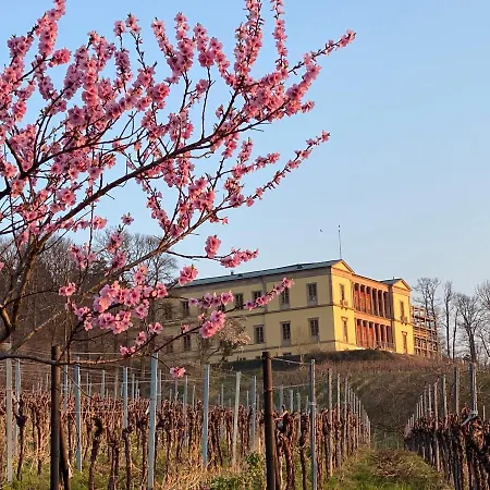 Pfaelzer Wald * Weyher