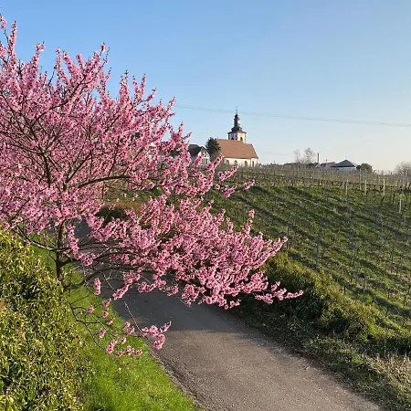 Pfaelzer Wald *