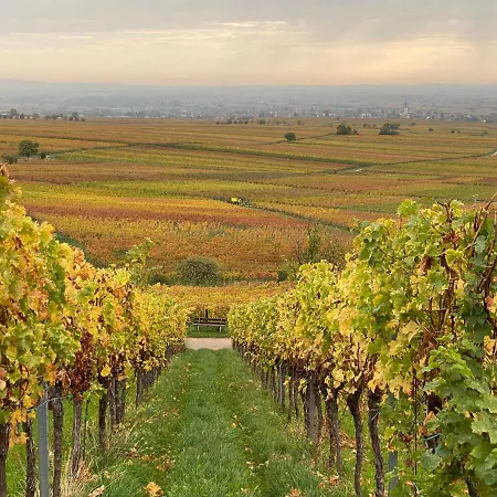 Pfaelzer Wald Appartement *