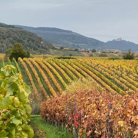 Pfaelzer Wald Weyher