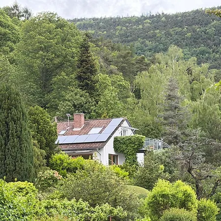 Pfaelzer Wald