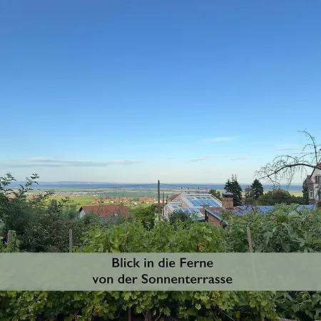 Pfaelzer Wald