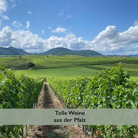Pfaelzer Wald