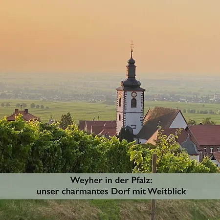 Pfaelzer Wald * Weyher