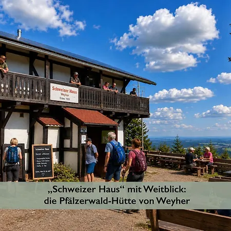 Pfaelzer Wald