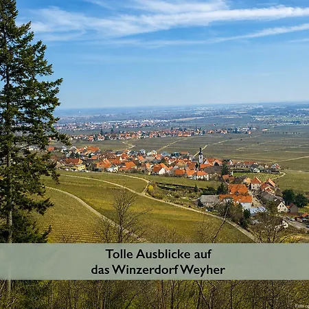 Pfaelzer Wald