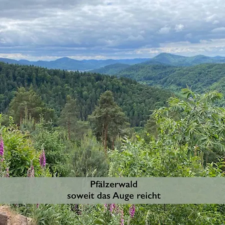 Pfaelzer Wald * Weyher