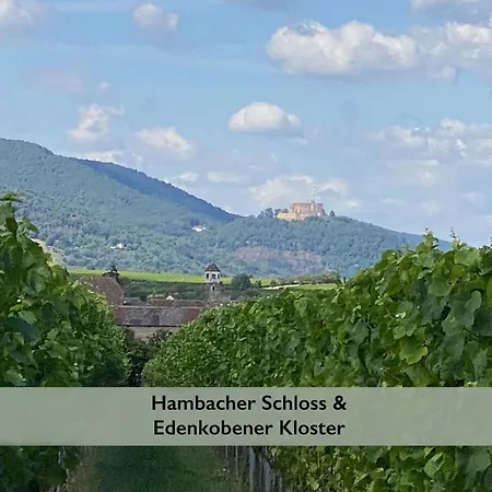 Pfaelzer Wald * Weyher