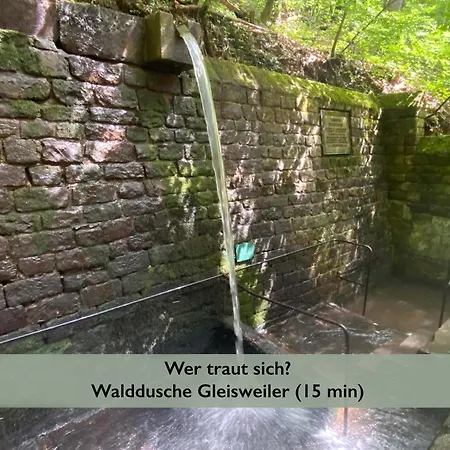 Pfaelzer Wald Weyher