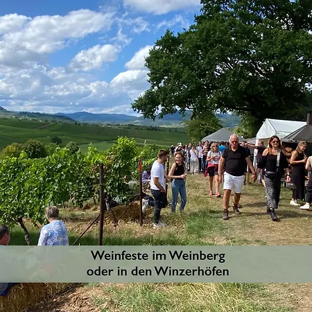 Pfaelzer Wald アパート Weyher
