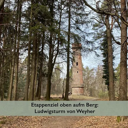 Pfaelzer Wald *