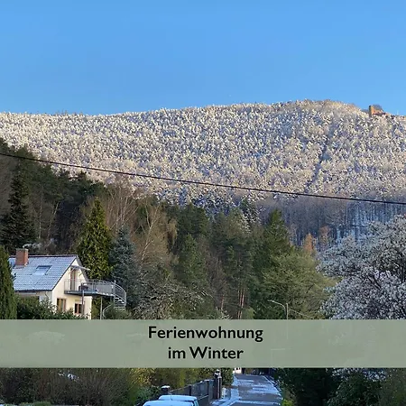 Pfaelzer Wald