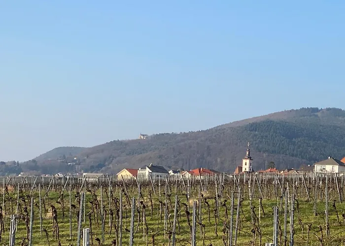 Pfaelzer Wald Lägenhet