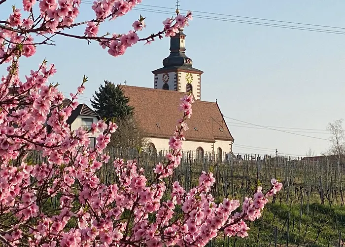 Lägenhet Pfaelzer Wald