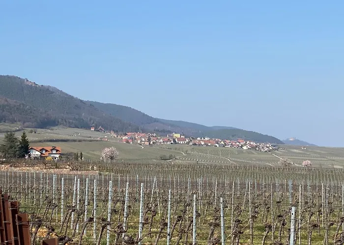 Pfaelzer Wald * Weyher