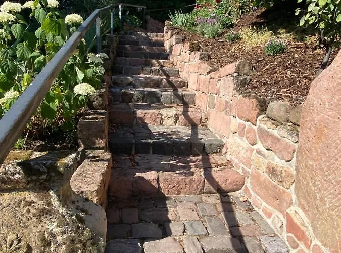 Pfaelzer Wald 公寓 Weyher