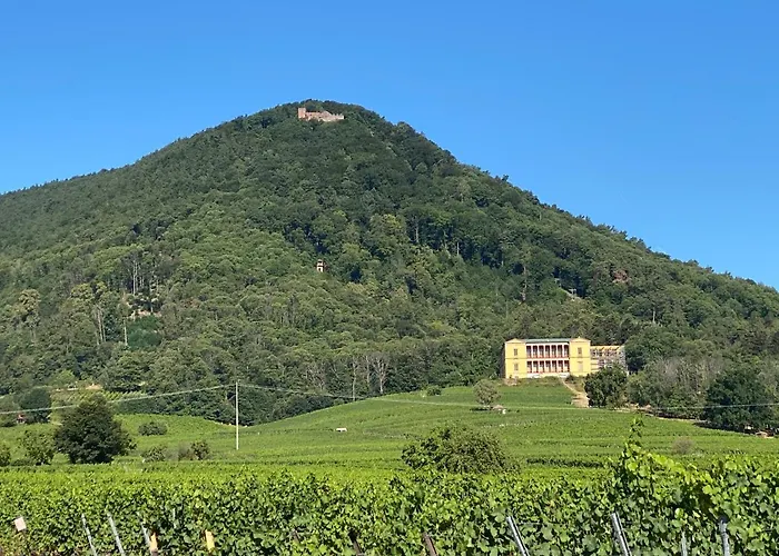 Lägenhet Pfaelzer Wald