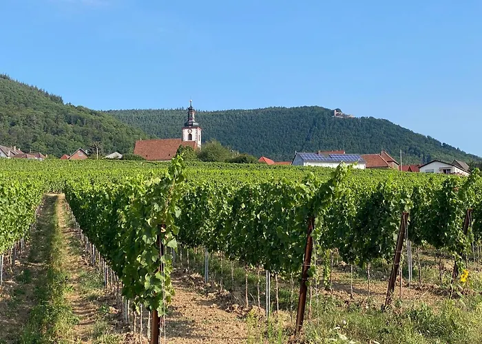 Lägenhet Pfaelzer Wald *