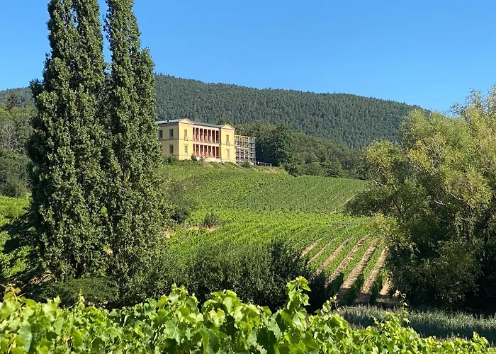 Pfaelzer Wald Weyher