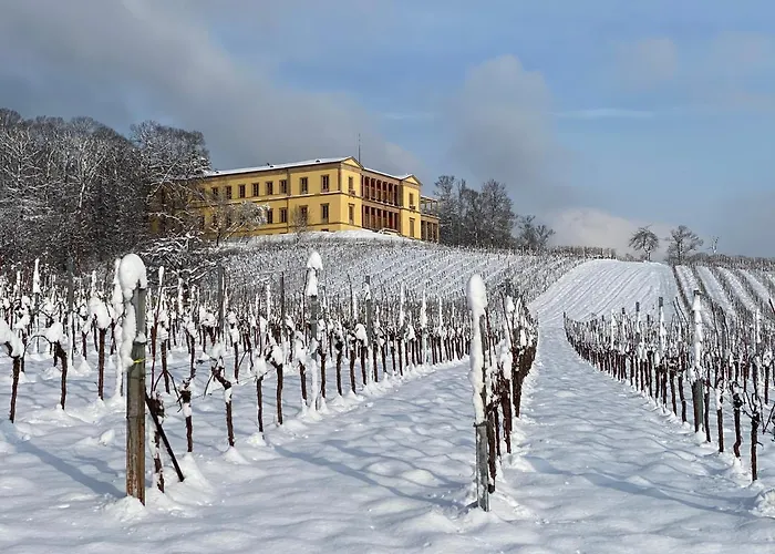 Lägenhet Pfaelzer Wald Weyher