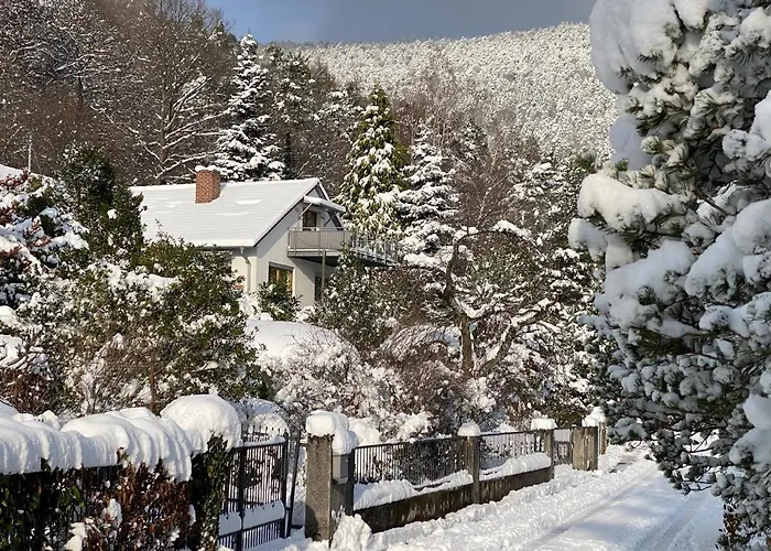 Lägenhet Pfaelzer Wald Weyher