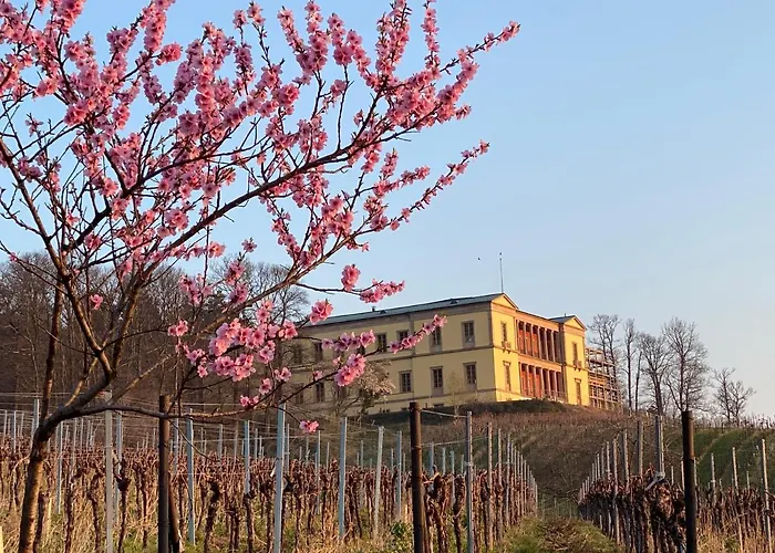 Pfaelzer Wald * Weyher