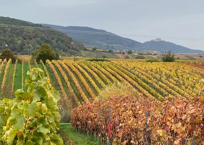 Pfaelzer Wald Weyher